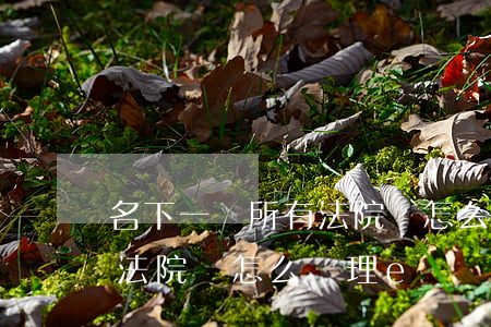 名下一無所有法院會怎么處理(名下一無所有法院會怎么處理e)
