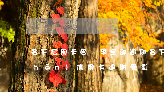 名下信用卡因懷孕全部逾期(名下有房產(chǎn)信用卡逾期受影響嗎)