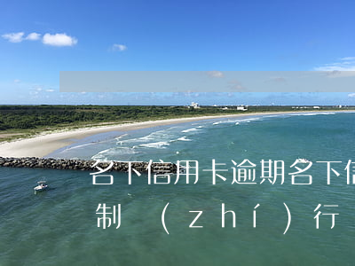 名下信用卡逾期(名下信用卡逾期案件進入強制執(zhí)行)