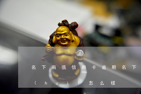 名下兩張信用卡逾期(名下兩張信用卡逾期會(huì)怎么樣)