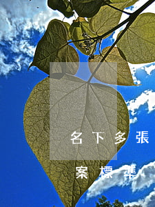 名下多張信用卡同時逾期(多個信用卡逾期立案標準)