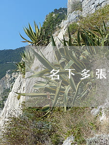 名下多張信用卡逾期