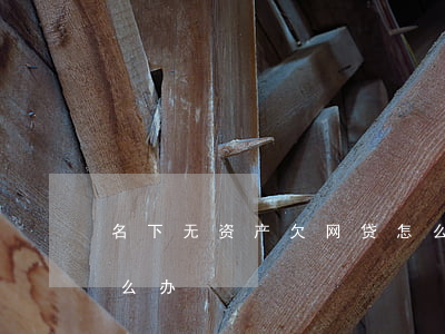 名下无资产欠网贷怎么办(欠款名下无财产怎么办)