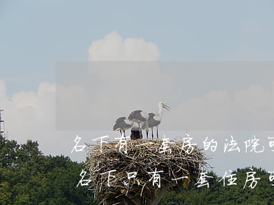 名下有一套房的法院可以拍賣(mài)嗎(名下只有一套住房可以拍賣(mài)嗎)