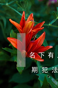 名下有三張信用卡都有逾期(很多張信用卡逾期犯法么)