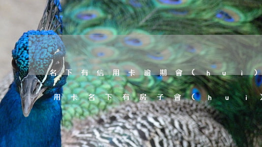 名下有信用卡逾期會(huì)查封嗎(欠信用卡名下有房子會(huì)查封嗎)