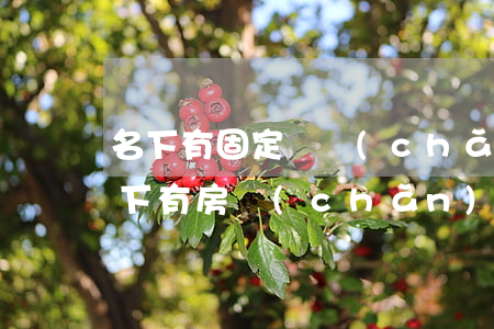 名下有固定資產(chǎn)信用卡逾期(名下有房產(chǎn)信用卡逾期受影響嗎)