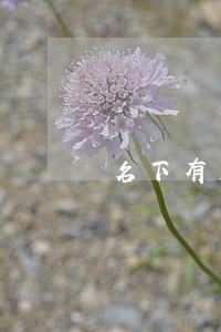 名下有房支付寶逾期 支付寶逾期會收房子嗎