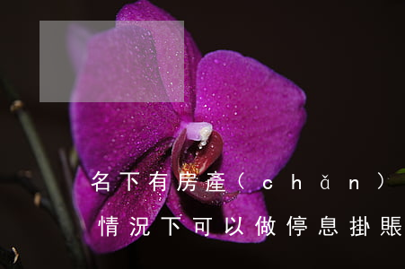 名下有房產(chǎn)能停息掛賬嘛(什么情況下可以做停息掛賬)