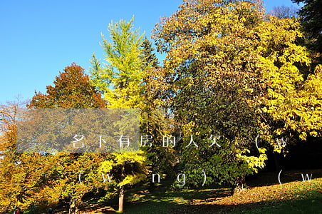 名下有房的人欠網(wǎng)貸不還(欠網(wǎng)貸無(wú)力償還名下的房子咋辦)