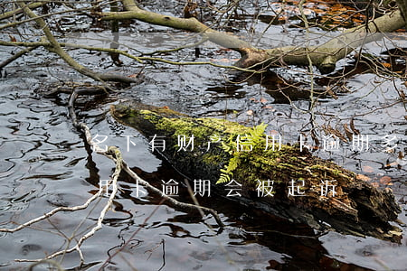 名下有财产信用卡逾期多久会起诉 有房子信用卡逾期会被起诉