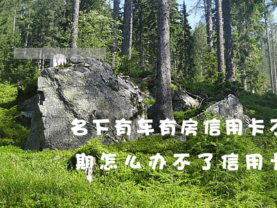 名下有车有房信用卡不还(我有房有车有没逾期怎么办不了信用卡)