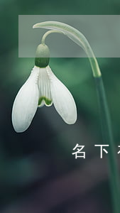 名下有车网贷逾期怎么办