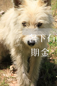 名下有逾期還能用花唄嗎(為什么我的花唄逾期金額還進(jìn)去還是不能用)