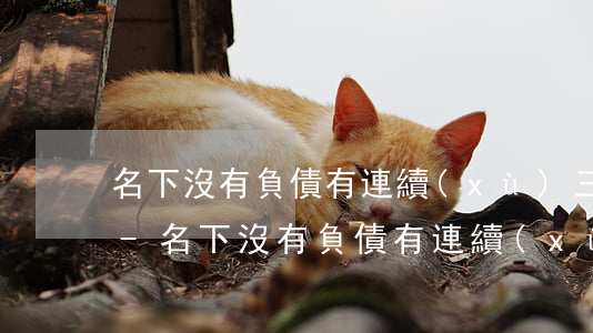 名下沒有負債有連續(xù)三月逾期記錄-名下沒有負債有連續(xù)三月逾期記錄怎么辦