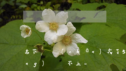名下沒財產(chǎn)欠了5萬網(wǎng)貸還不上-