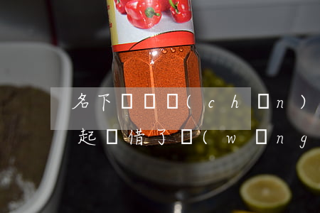 名下沒財產(chǎn)網(wǎng)貸起訴(借了網(wǎng)貸被起訴其本人無財產(chǎn)還怎么辦)