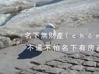 名下無財產(chǎn)網(wǎng)貸不還不怕(名下有房產(chǎn)網(wǎng)貸不還會怎么樣)