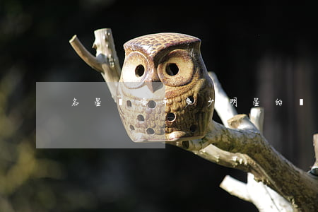 名星離婚率多少(明星的離婚率)