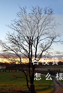 名校貸平臺(tái)欠不還會(huì)怎么樣(名校貸不還款會(huì)怎樣)
