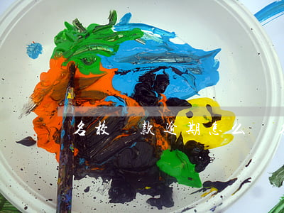 名校貸款逾期怎么辦(名校貸款逾期怎么辦)
