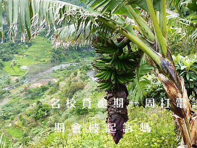 名校貸逾期一周打電話給家長嗎-名校貸逾期會被起訴嗎