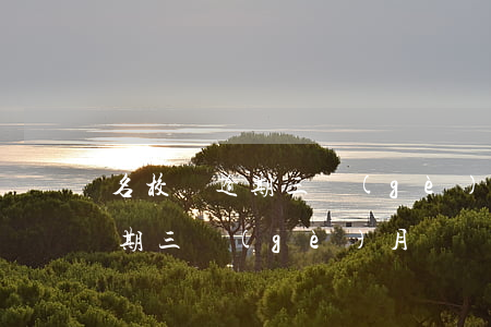 名校貸逾期三個(gè)月怎么辦（名校貸逾期三個(gè)月）