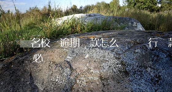 名校貸逾期還款怎么處罰(銀行貸款逾期罰金必須還嗎)