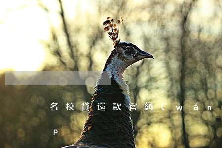 名校貸還款官網(wǎng)-名校貸app