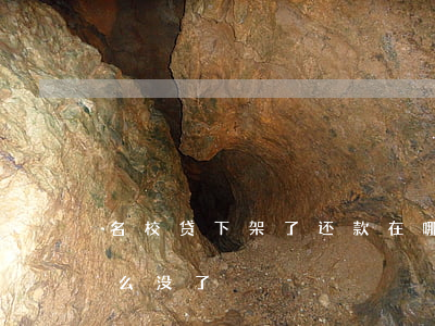 名校贷下架了还款在哪里还明显-名校贷怎么没了