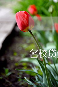 名校贷欠的钱还用还吗(名校贷还要还吗)