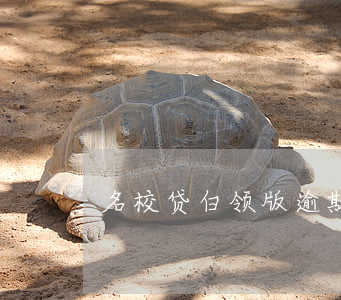 名校贷白领版逾期起诉(校园贷逾期)
