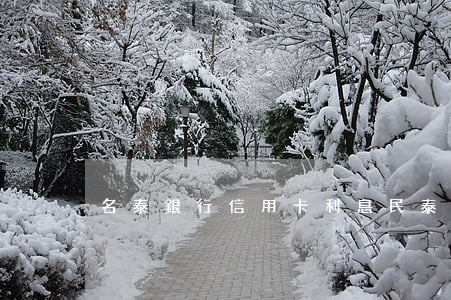 名泰銀行信用卡利息(民泰銀行30萬信用卡)