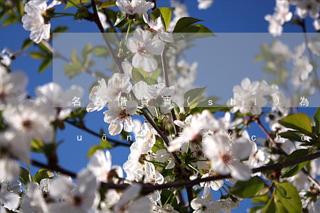 名為借貸實(shí)為因其他法律關(guān)系產(chǎn)生的債務(wù)如何處理