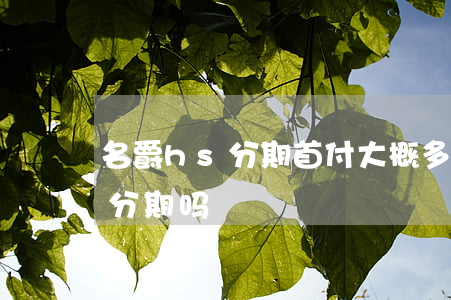 名爵hs分期首付大概多少（名爵hs有免息分期吗）