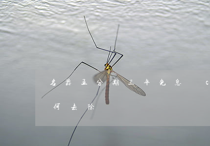 名爵五分期三年免息嗎 css按鈕邊框線如何去除