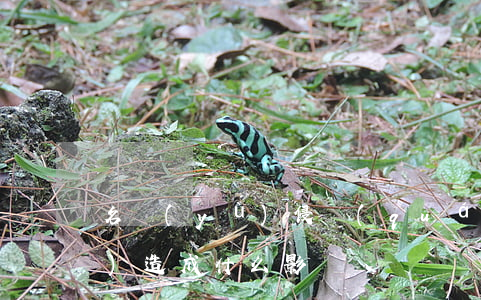 名譽(yù)侵權(quán)會(huì)造成什么影響