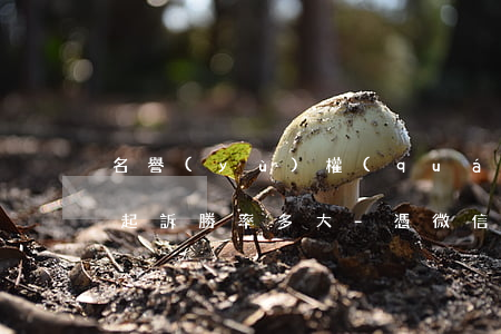 名譽(yù)權(quán)微信聊天記錄起訴勝率多大-憑微信聊天記錄起訴勝率多大