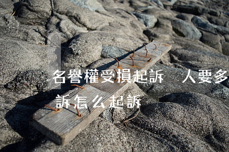 名譽權受損起訴別人要多少錢(名譽權受損起訴怎么起訴)