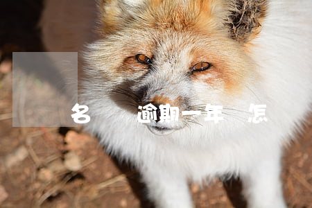 名門貸逾期一年會怎樣