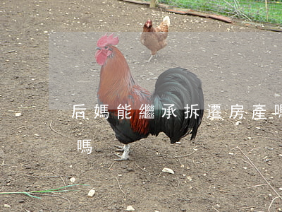 后媽能繼承拆遷房產嗎(后媽能繼承拆遷房產嗎)