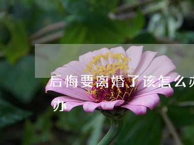 后悔要离婚了该怎么办(后悔要离婚了该怎么办)