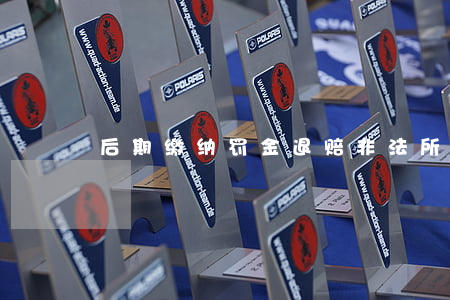 后期缴纳罚金退赔非法所得,法律怎么说