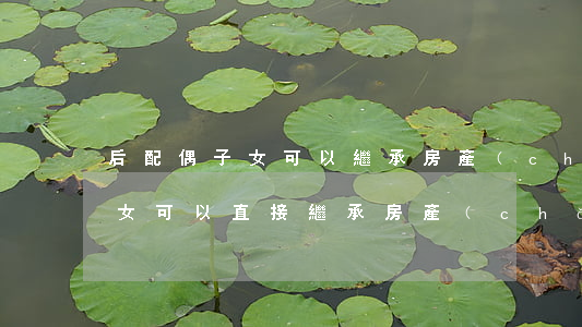后配偶子女可以繼承房產(chǎn)嗎(子女可以直接繼承房產(chǎn)嗎)