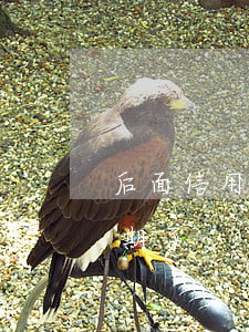 后面信用卡逾期了會怎么樣(沒注意信用卡逾期了)