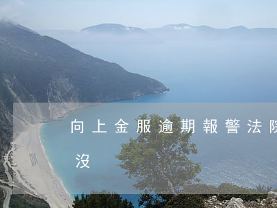 向上金服逾期報警法院有用嗎(向上金服立案沒)
