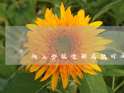 向上金服逾期还款时间(向上金服最新消息)