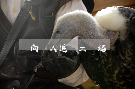 向個人追討工資起訴書(討要工資訴訟書怎么寫)