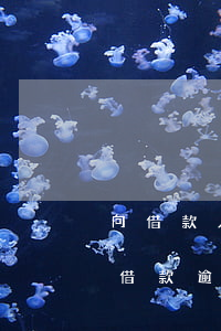 向借款人發(fā)出到期貸款催收通知書（借款逾期催還款通知）
