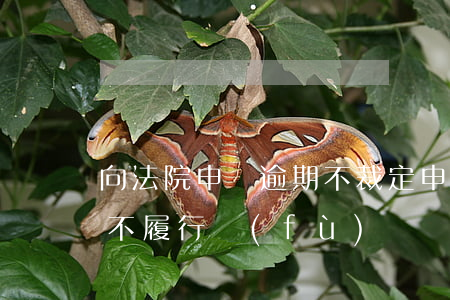 向法院申訴逾期不裁定(申請人逾期不起訴又不履行復(fù)議決定的)